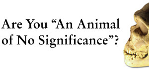 Are You _An Animal of No Significance__.001 (1)