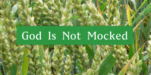 God is Not Mocked.001 (1)